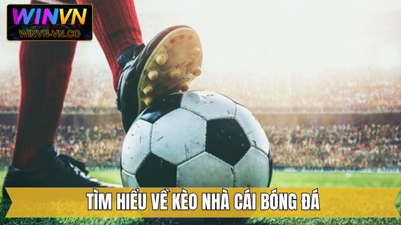 Những thông tin liên quan về kèo nhà cái bóng đá