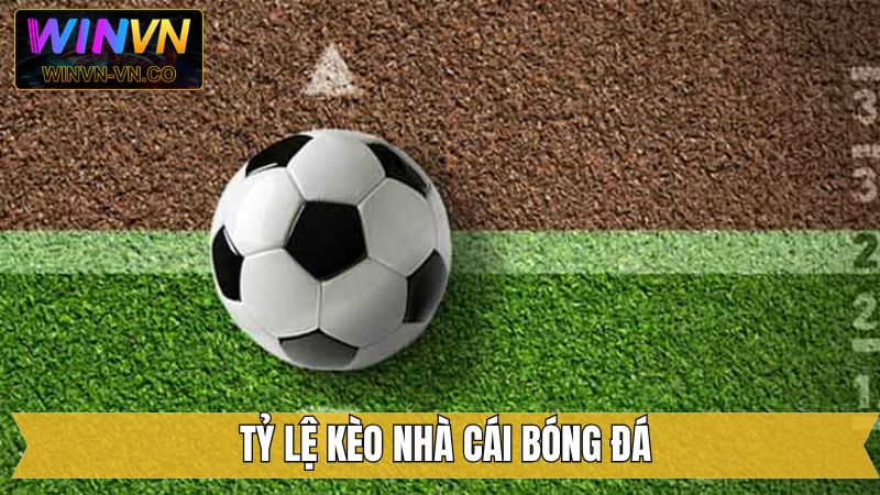 Xuống tiền ngay với kèo nhà cái bóng đá tài xỉu