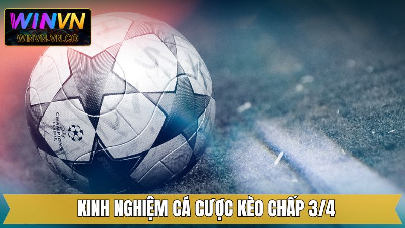 Kinh nghiệm đầu tư vào cược chấp 0.75 hiệu quả