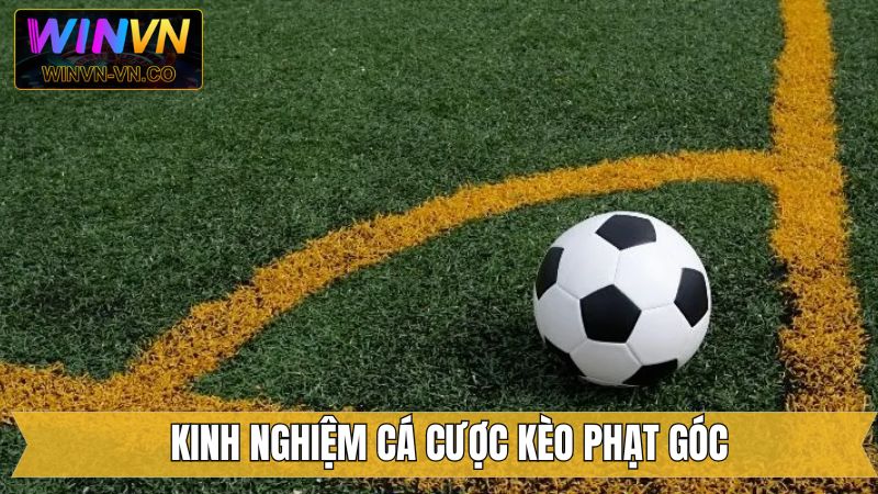 Kinh nghiệm vào tiền kèo phạt góc luôn thắng lớn