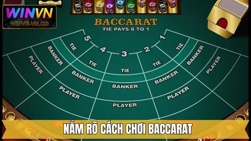 Hướng dẫn tất tần tật cách chơi cho newbie
