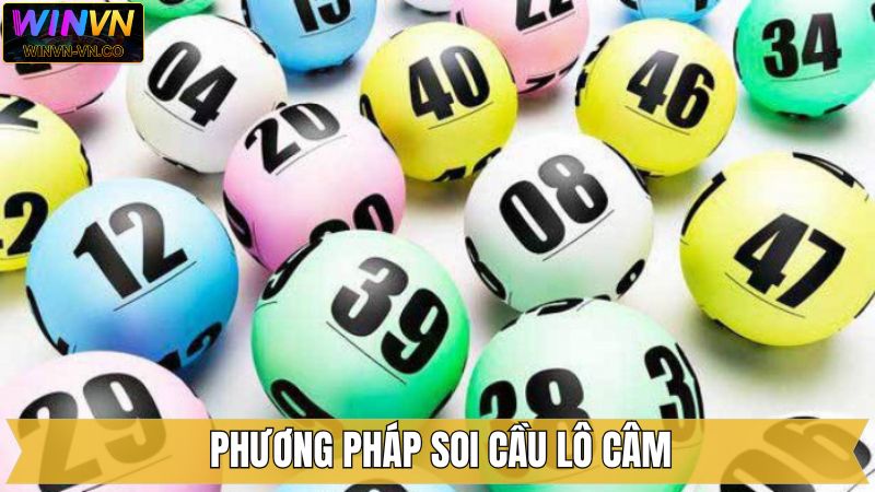 Cách nuôi khung loto 5 ngày hiệu quả từ cao thủ