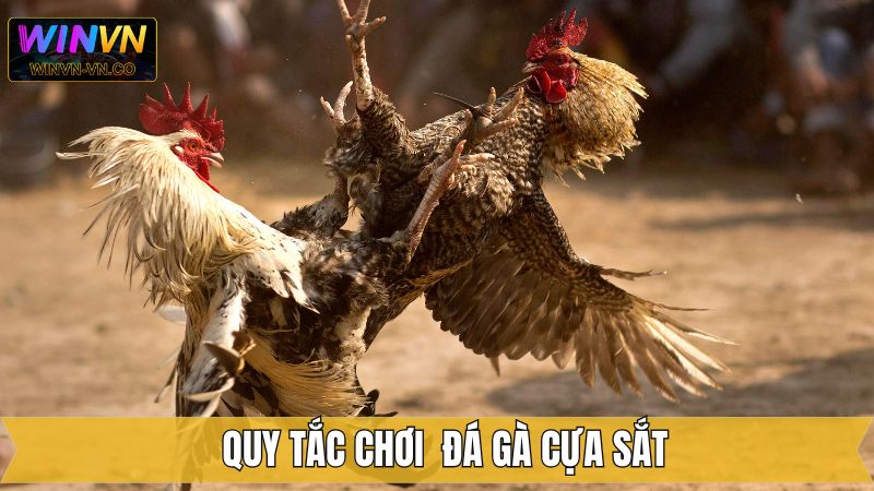 Chia sẻ quy tắc về thời gian trong đá gà cựa sắt