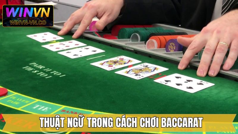 Cách chơi Baccarat - Những thuật ngữ cần nắm