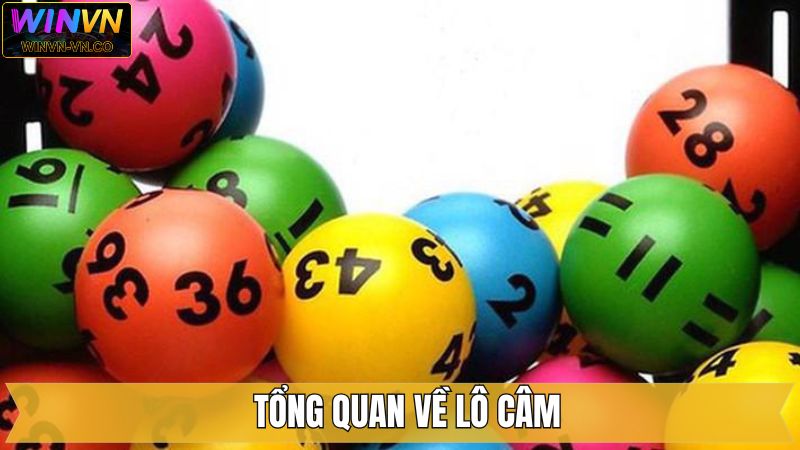 Khái niệm lô câm cho hội viên mới