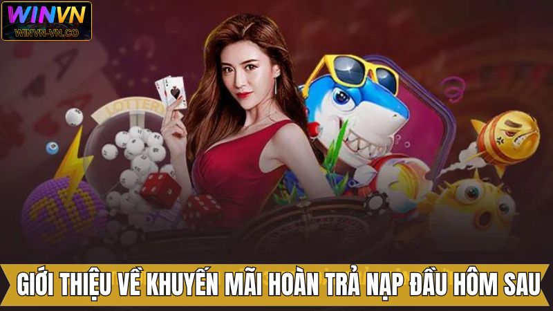 Tìm hiểu thông tin về ưu đãi hoàn trả đầy chất lượng