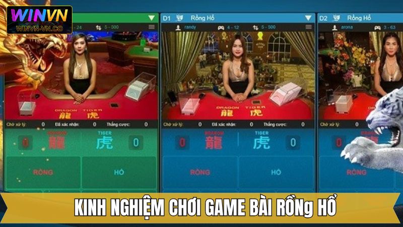 Bí quyết đặt kèo Rồng Hổ săn thưởng lớn 